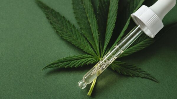 Cannabis Medicinal: o que é, para que serve, quais os benefícios ...
