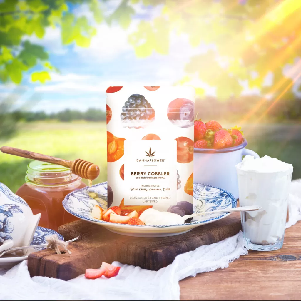 Flor De Cbd Canhamo Canabidiol Berry Cobbler Cannaflower